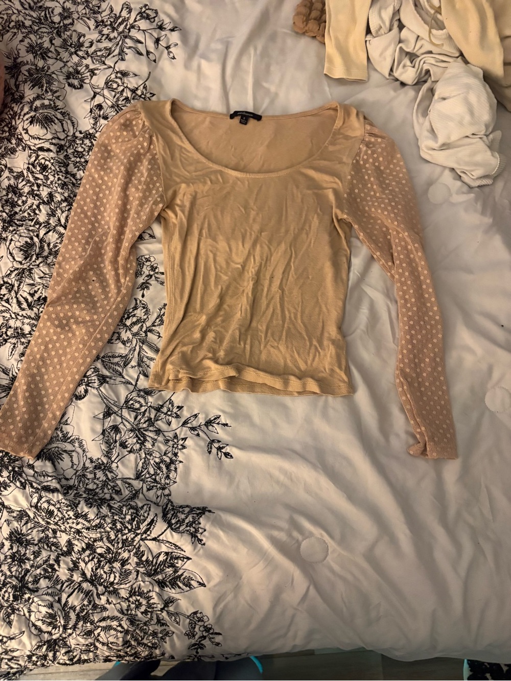 Women’s Long Sleeve Lace Sleeve Scoop Neck Top - Cream